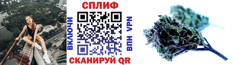 Каннабис семена  Купить закладки  Юхнов 